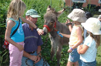 Kita the Donkey visits